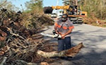 Image of public worker clearing a roadway of trees