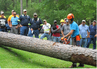photo of man using a chainsaw to cut a tree