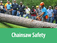 photo of chainsaw class instruction